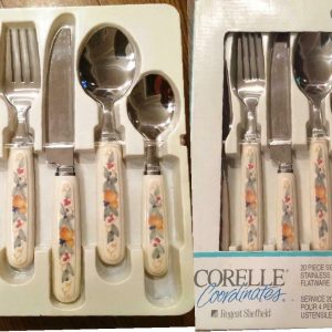 20-pc Corelle ABUNDANCE Fruit HARVEST Regent SHEFFIELD Stainless FLATWARE Set
