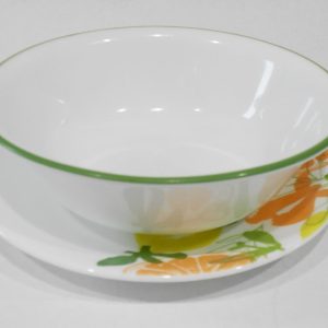 1 CORELLE Contemporary Fruit 18-oz SOUP CEREAL BOWL Salad Citrus Green Rim
