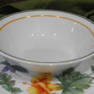 *NRM Corelle HUMMINGBIRD 18-oz SOUP BOWL Cereal Salad 7.25 *Green Orange Bands